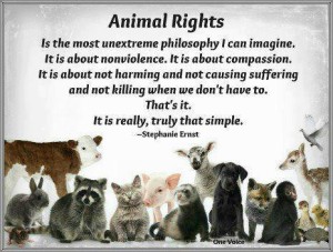 11c6 animal rights is about being Human