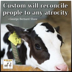 14b3 the custom of cruelty