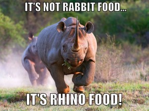 18b3 rhino food