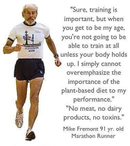 18z4 vegan is fitness