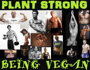 18z6 vegan Strong