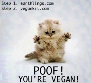 28e8 conv poof your vegan