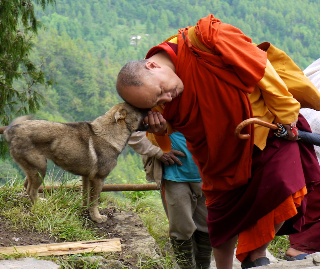 'Bhutan Monk honors stray dog' photo by Claus Nehmzow