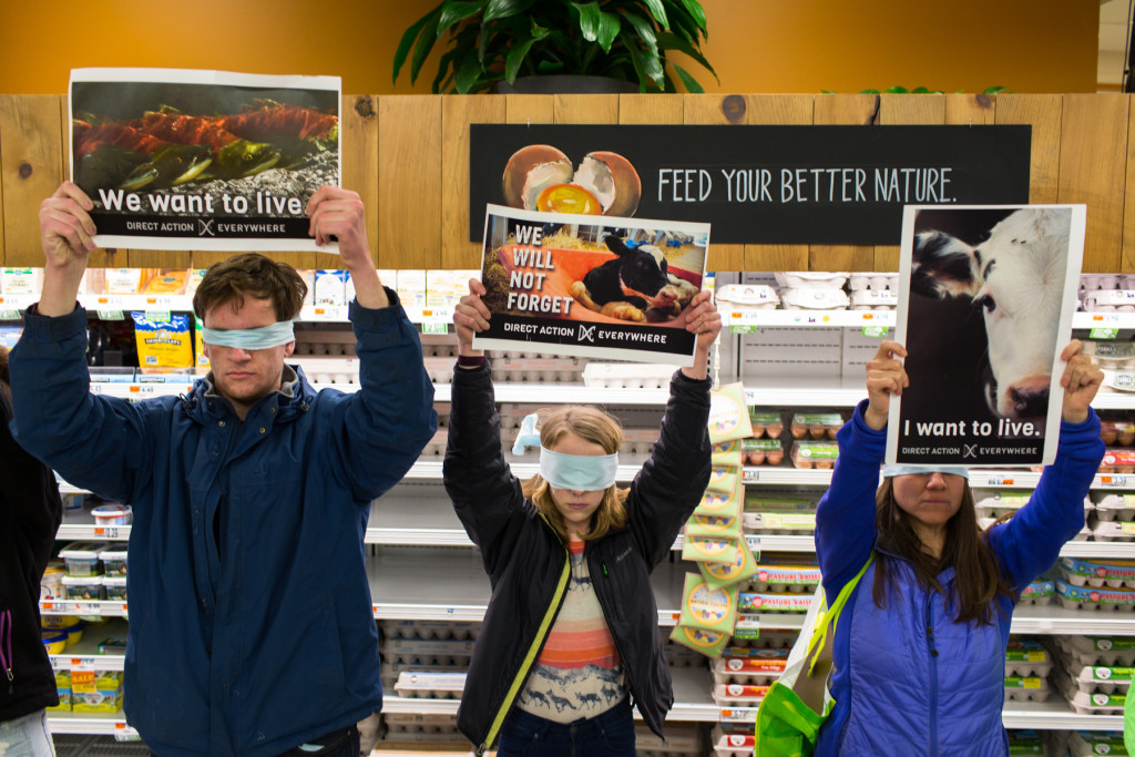 MATT BURKHARTT Members of the animal rights activist organization Direct Action Everywhere, Zachary Groff, Julia Carpenter, and Ana Wolf stand blindfolded in front of the egg and dairy cooler at Whole Foods in Hadley Saturday February 28. The group also protested at Applebee's and Chili's.