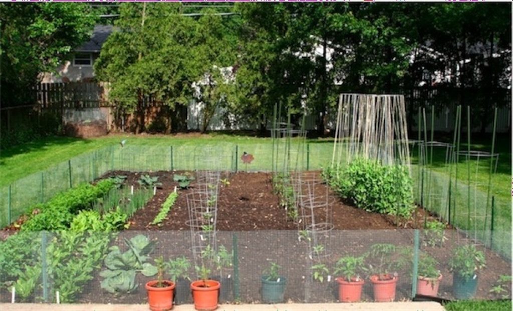 Backyard Food Garden Ideas Along With Backyard Vegetable Garden Ideas Backyard Landscaping Ideas - Metaiv.ORG